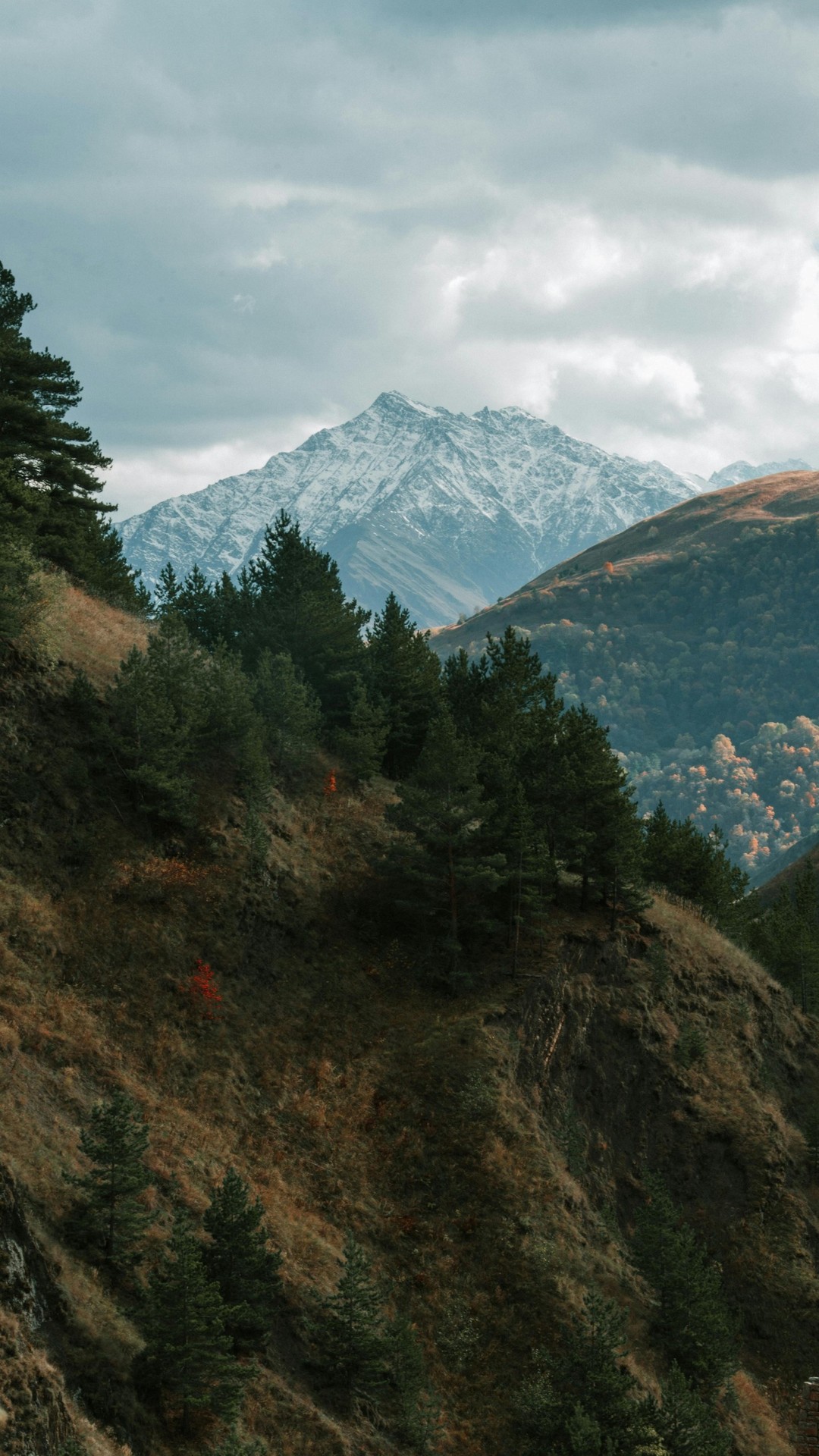 ecoregion, terrain Hintergrundbilder