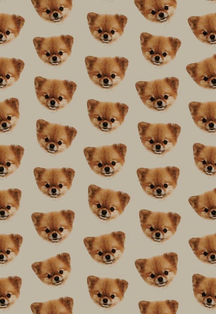 Dogsismylove