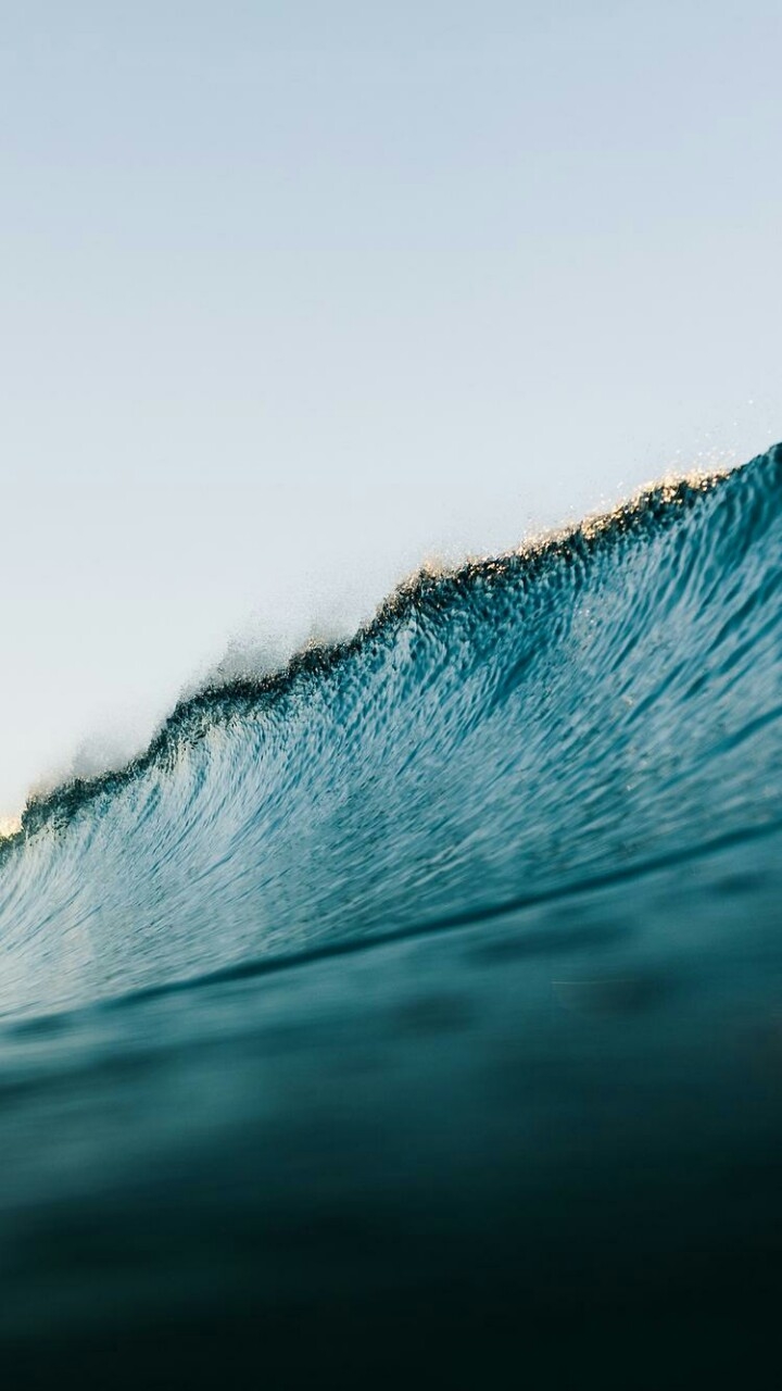the sea