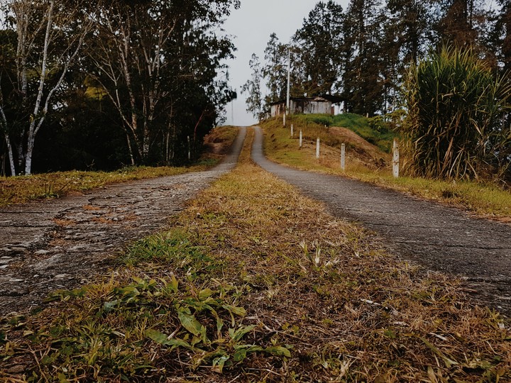 Road