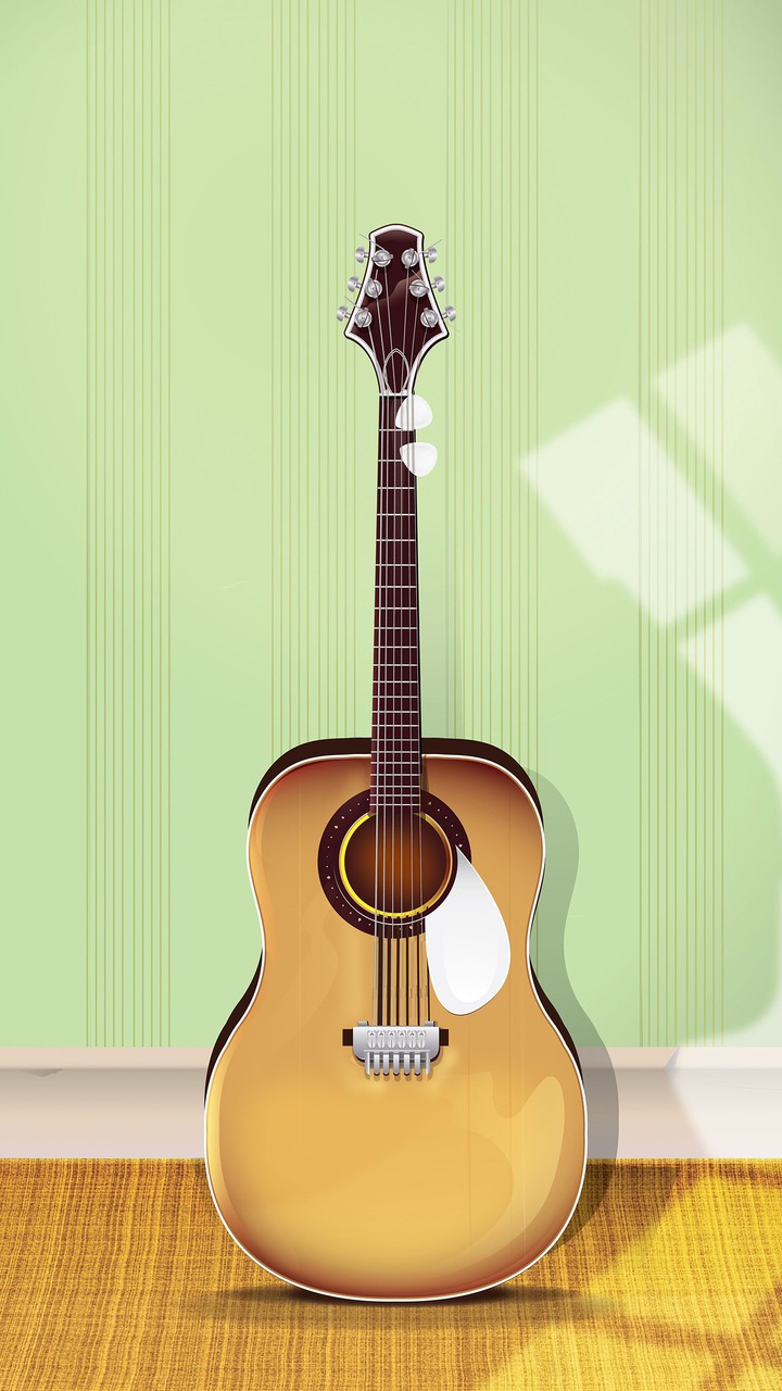 Guitar
