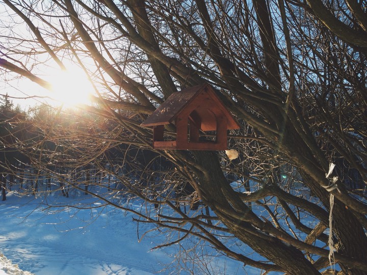 solar february