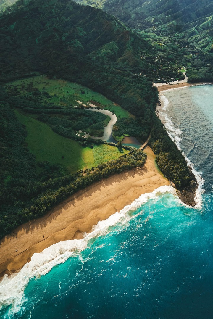 Ocean