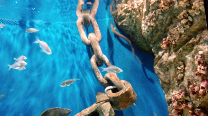 AquaRio