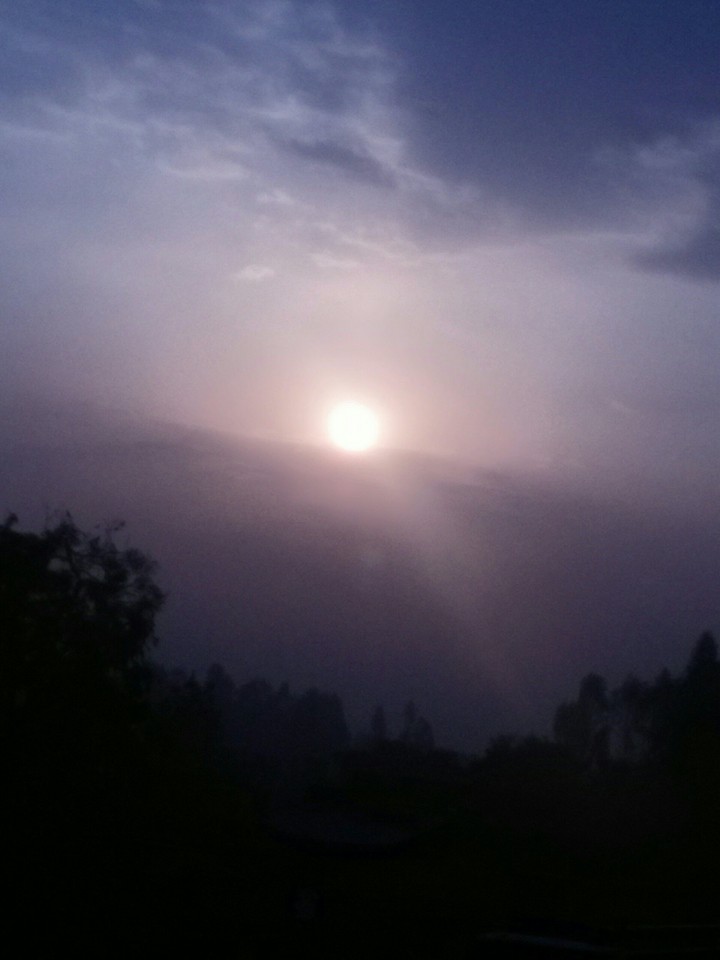 Good morning