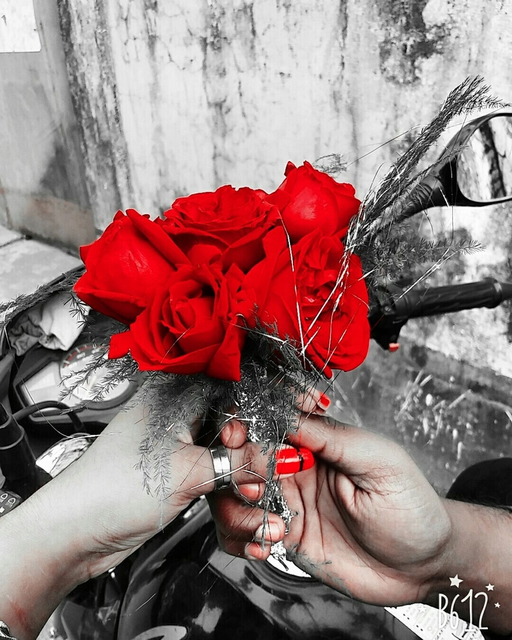 love rose