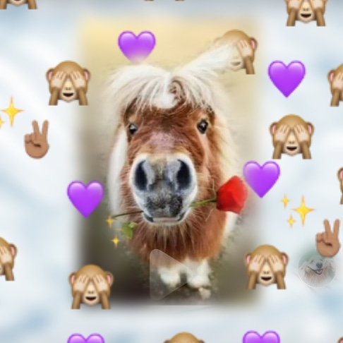 cute pony