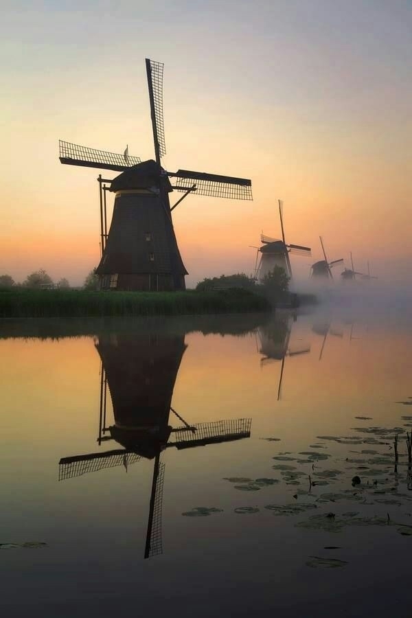 Reflections