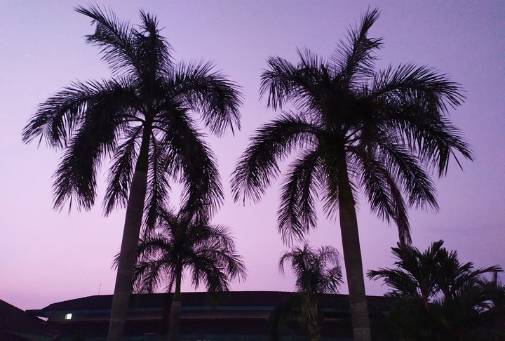 evening at iimk