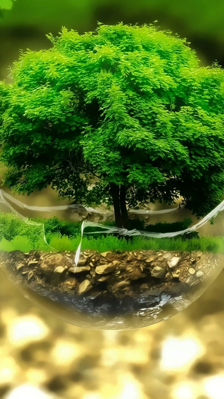 Keep the picturesque nature