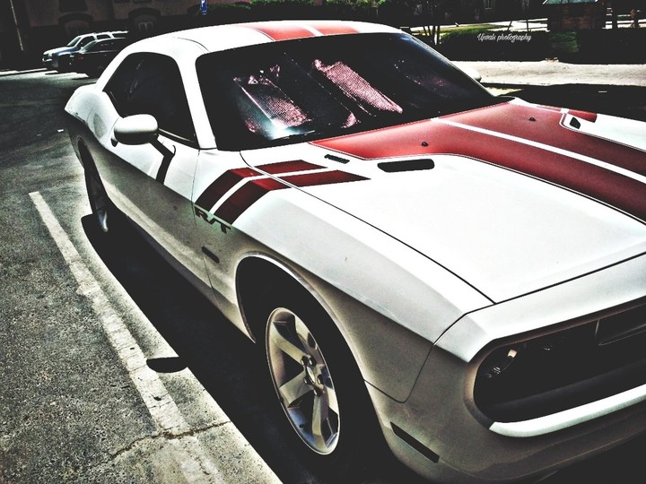 Red Beast