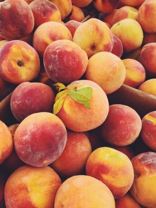 Apricot
