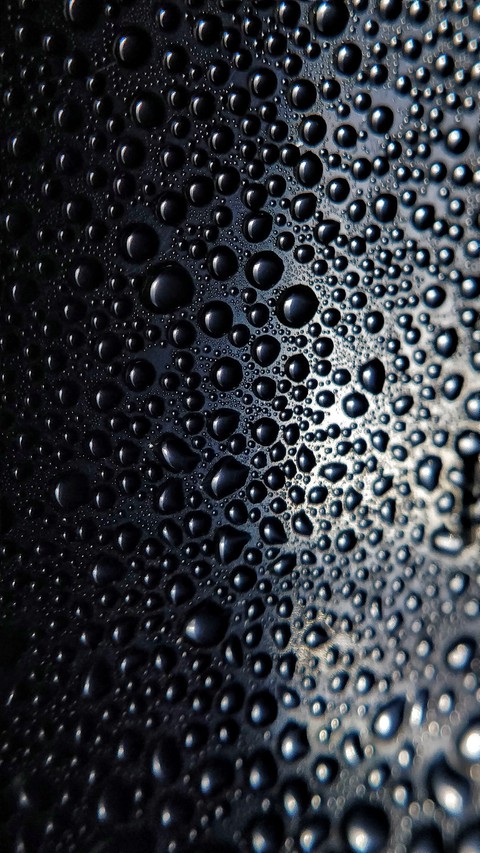 Dews