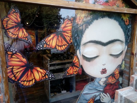 mariposas valquirico