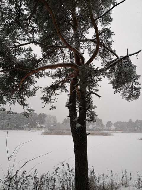 winter