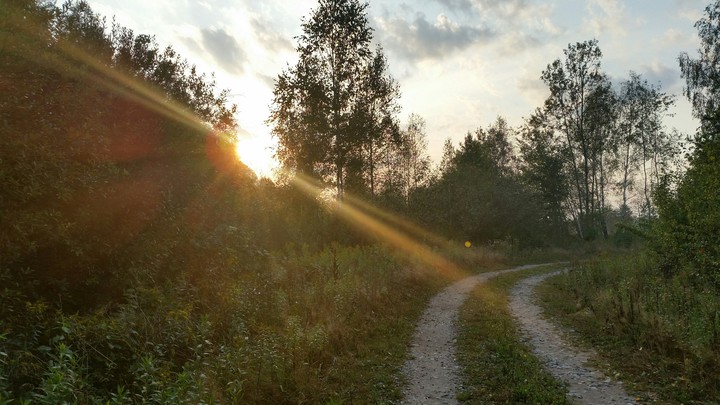 Enlightened path