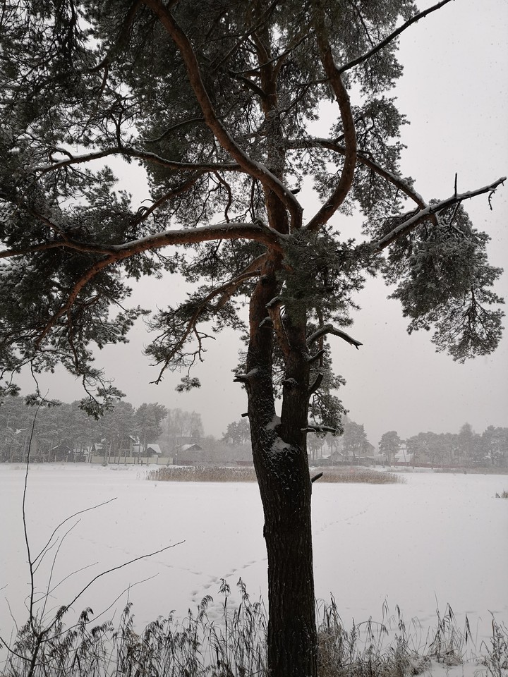 winter