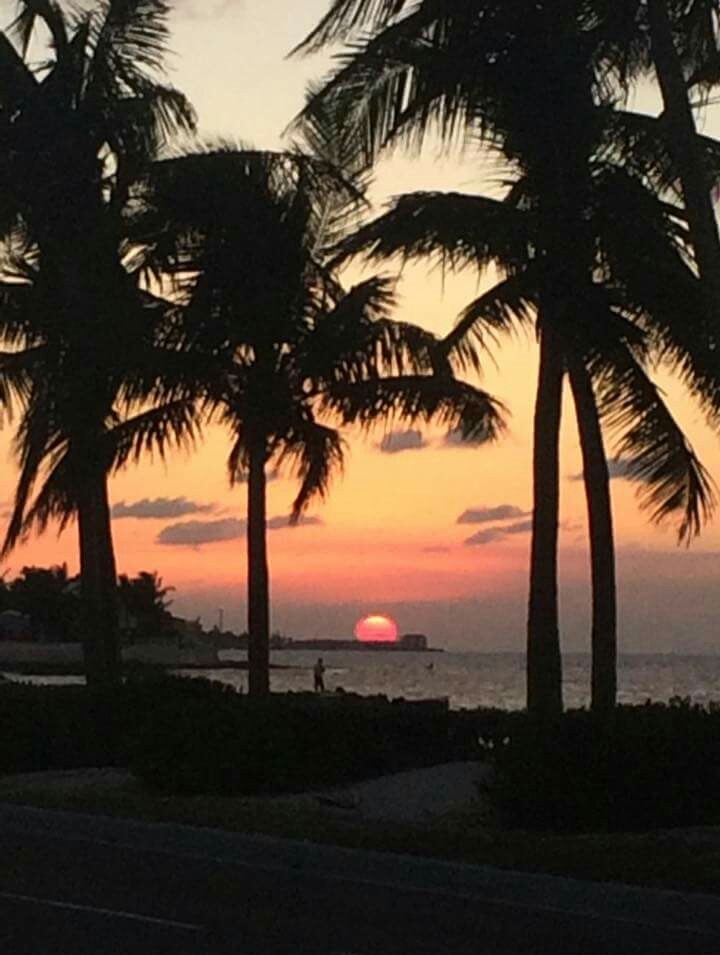 island life
