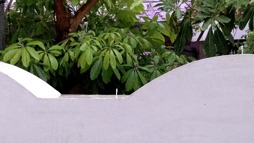 It's raining