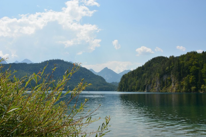 summer lake