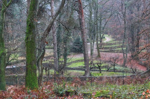 Parc