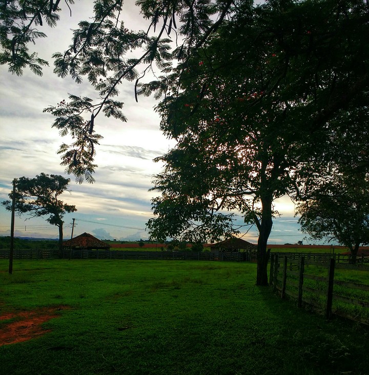 Final de Tarde