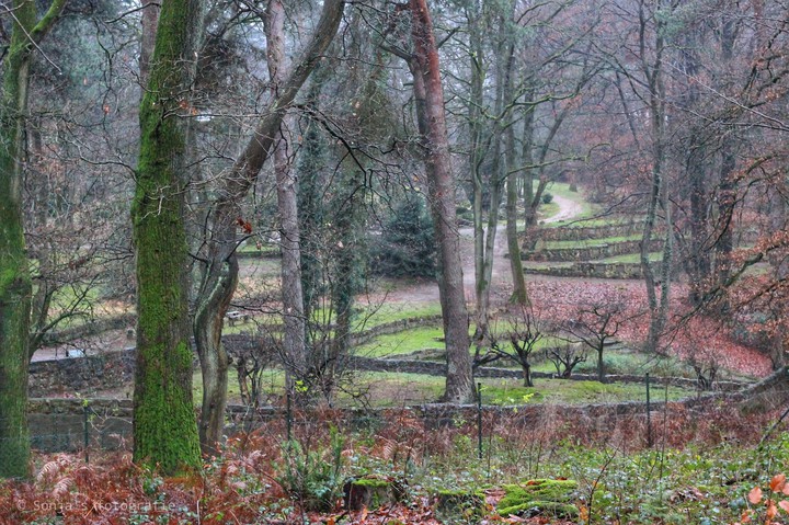 Parc