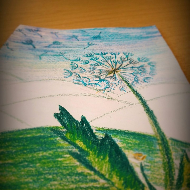 my sketch