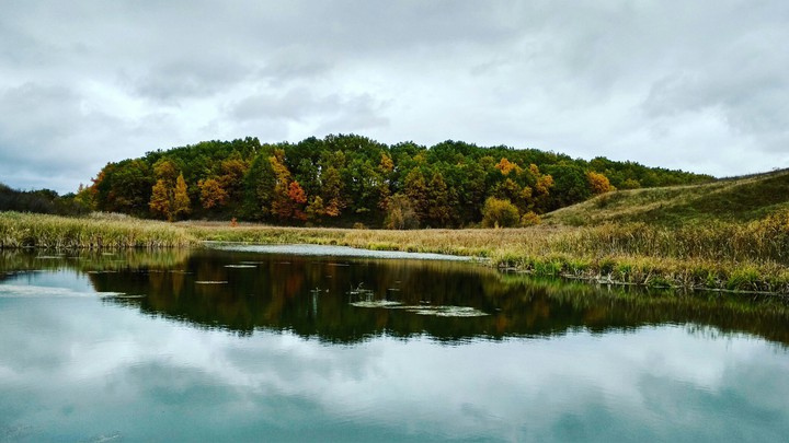 осень