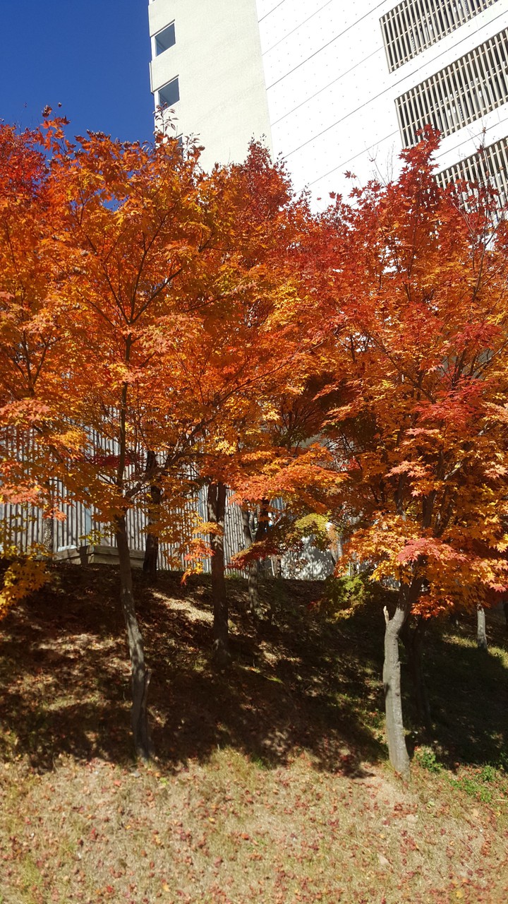 fall