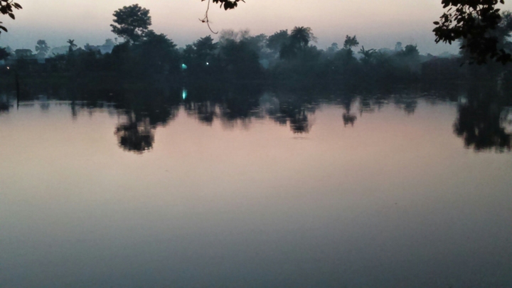 Reflectia