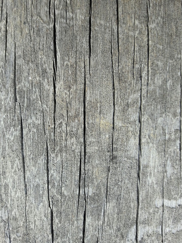 100 years old wood