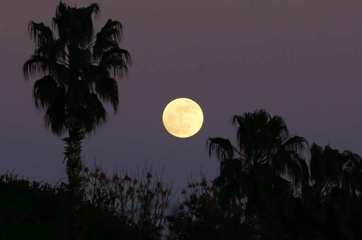 mazing moon