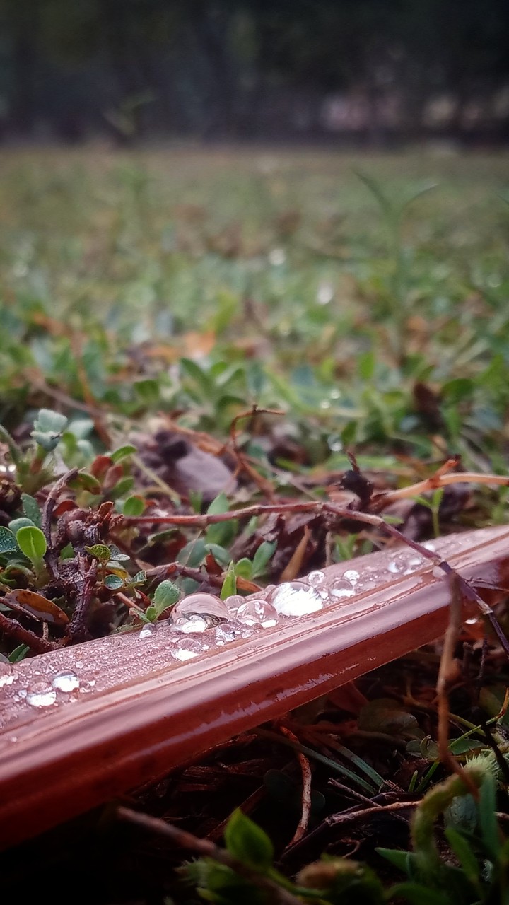 liitle drops of water
