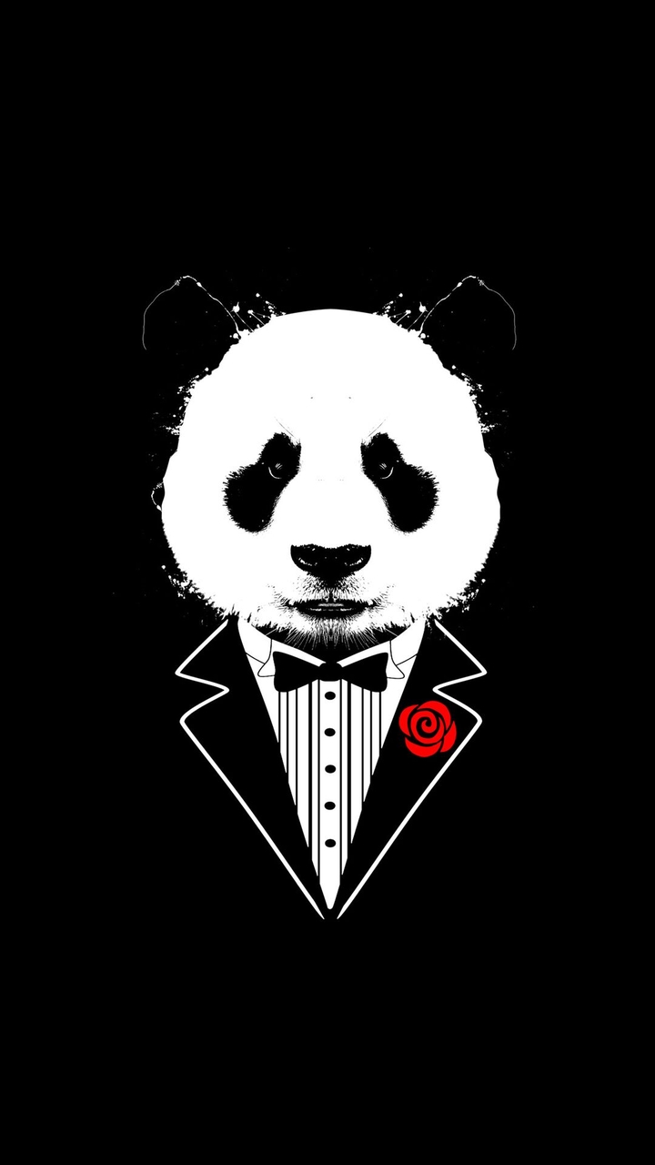 panda bear