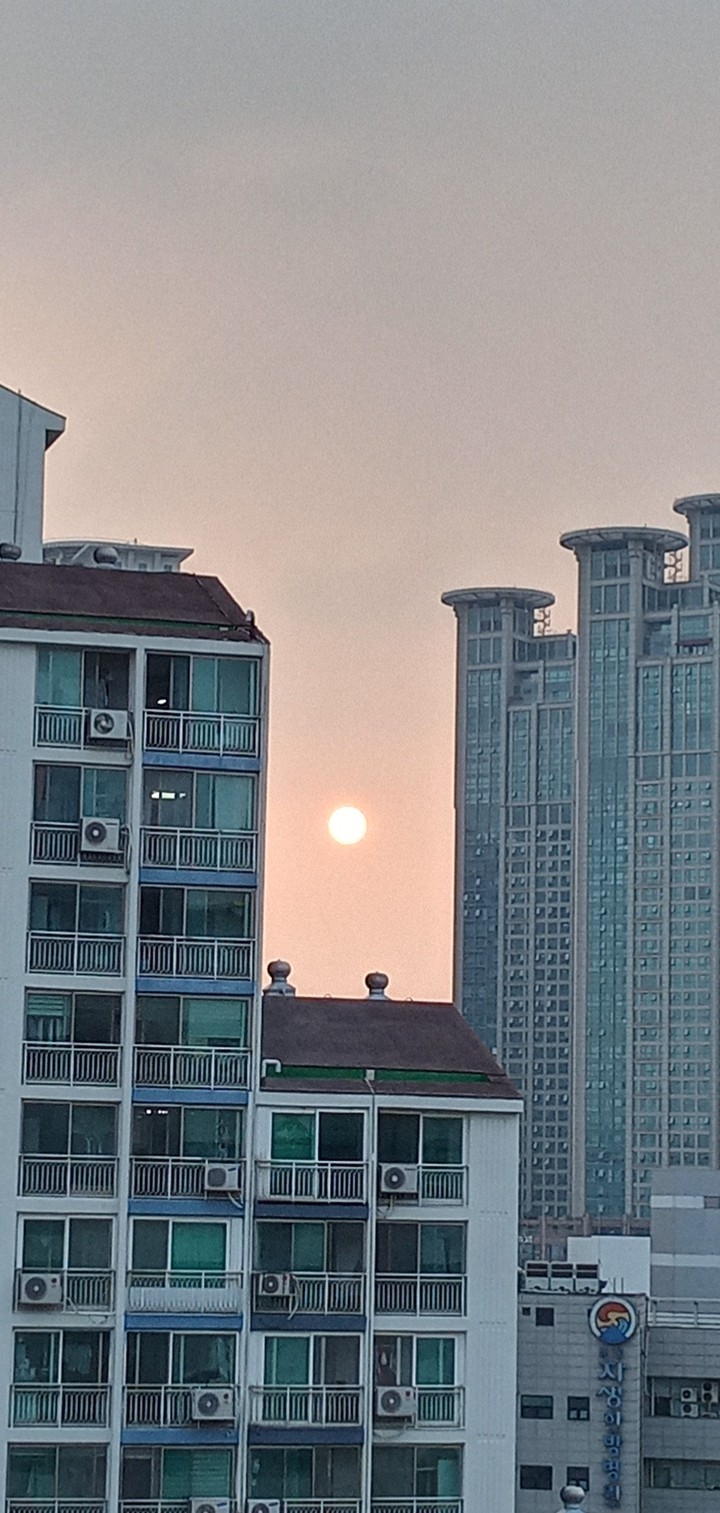 夏至 하지 지난 저녁 해가 집니다.