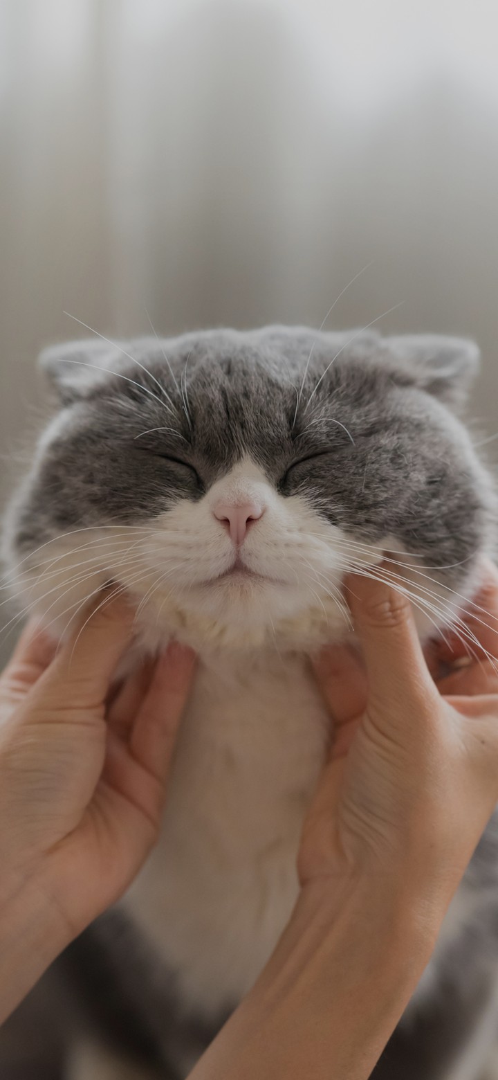 so  cute