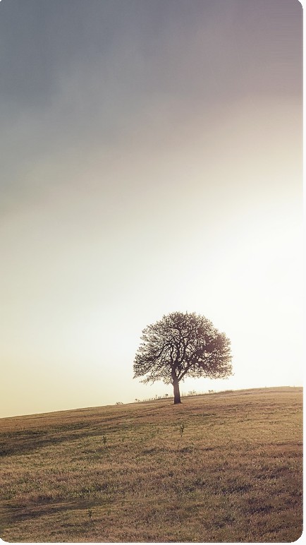 Loneliness