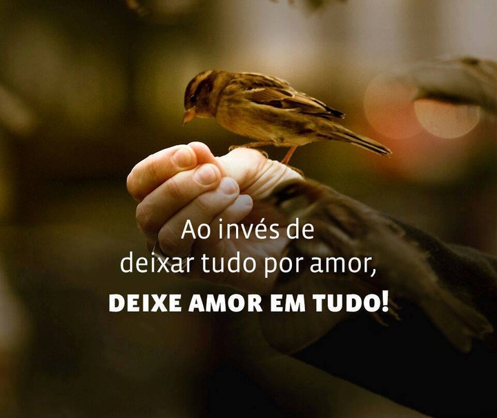 Aos meus queridos amigos do coração bjs.
