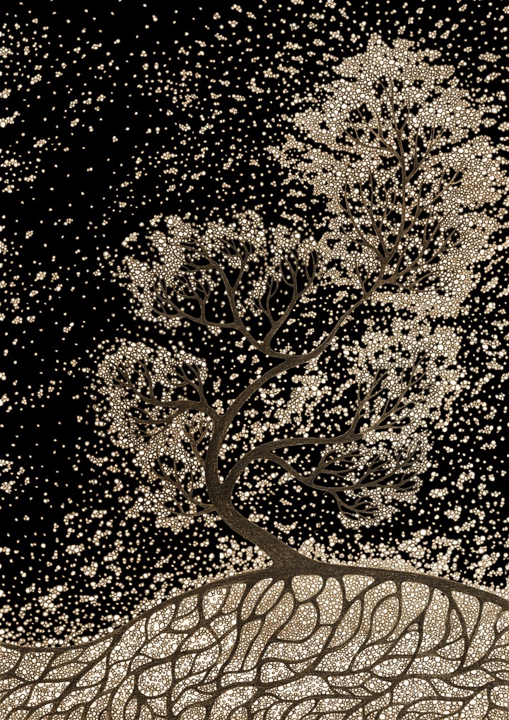 Ash Tree