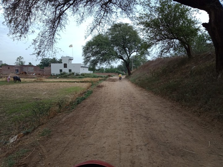 A happy road ❤