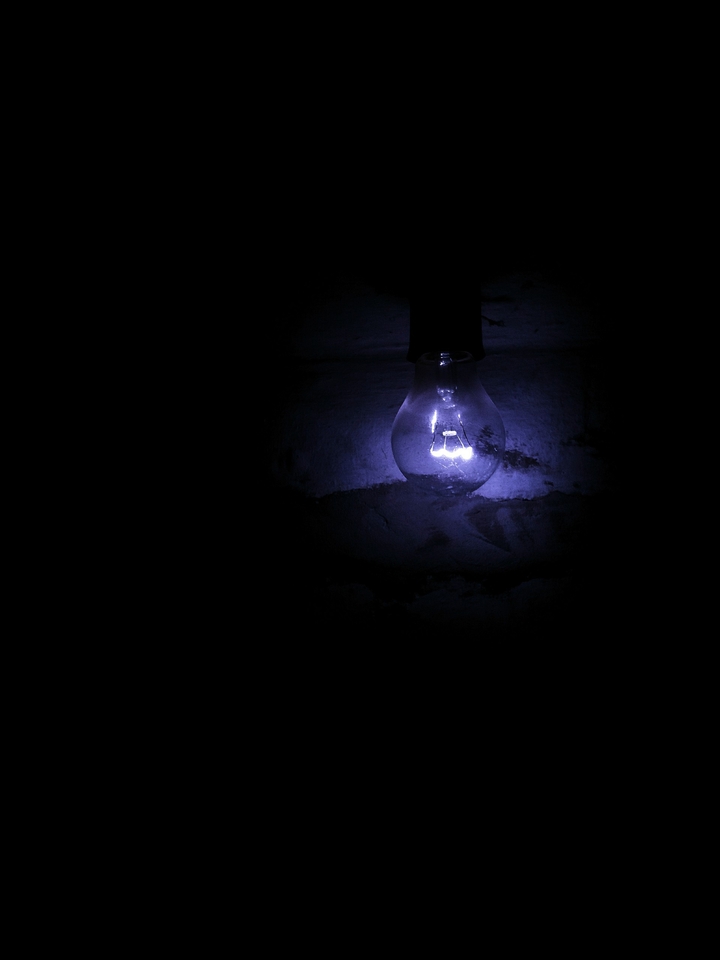 A bulb
