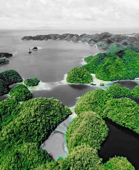 island to tell