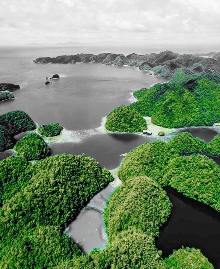 island to tell