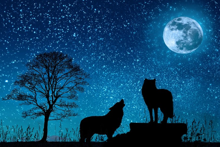 full moon night....