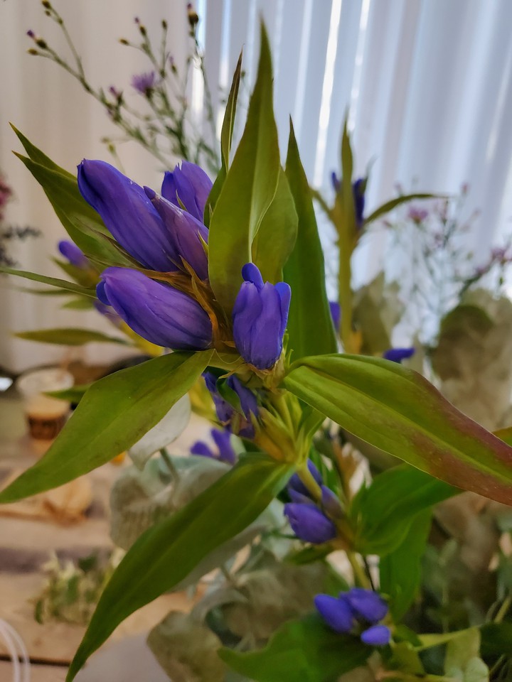 flowers, vintage purple