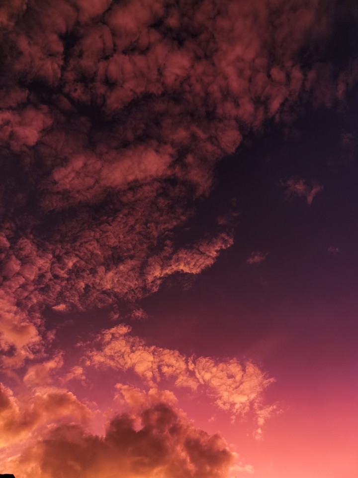 Pink skies