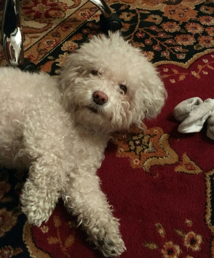 Sparky 2