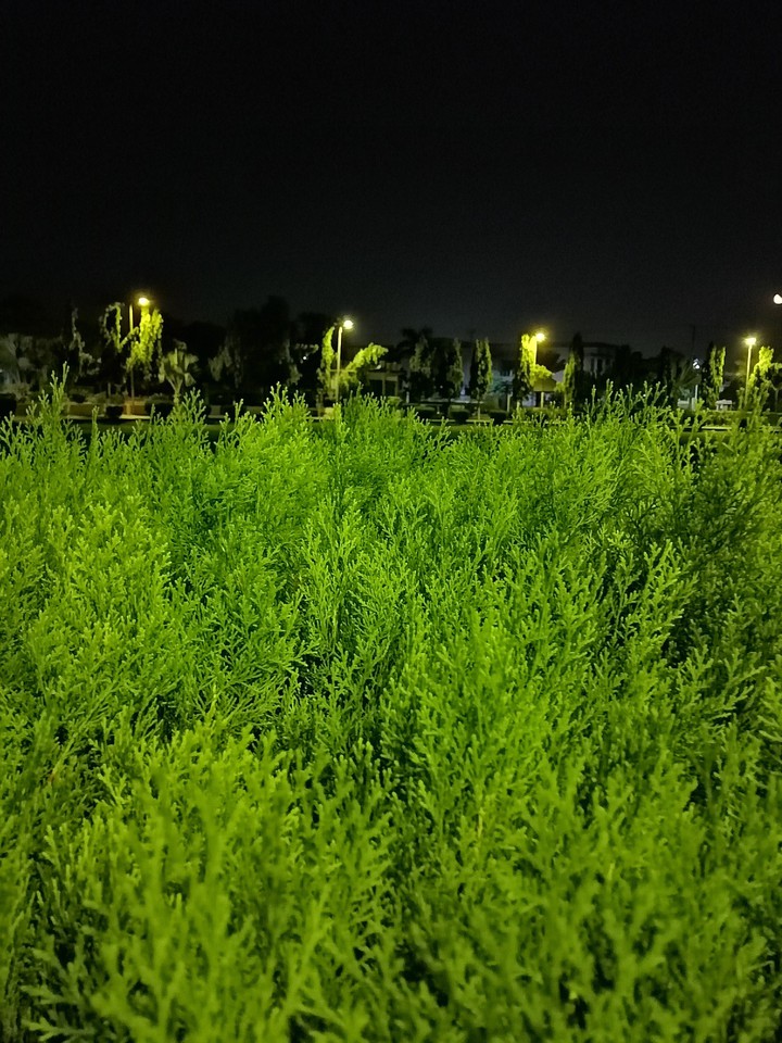 green