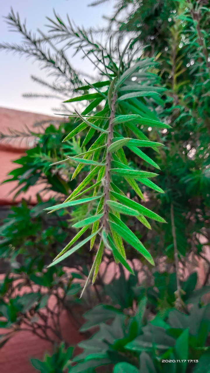 #Nature at school